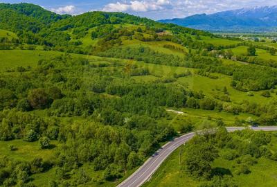 Teren Construcții intravilan de 10000 mp, în Glăjărie - 9