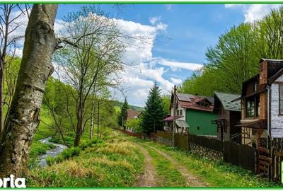 Teren de 394200 mp, în Măneciu - 5