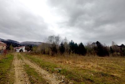 Teren Construcții extravilan de 996 mp, în Drăguș - 5