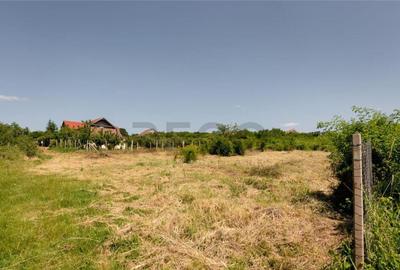 RECO Teren intravilan 1200 mp- front 30ml ,cu utilitati, Pa - 4