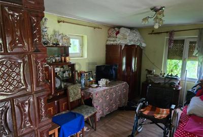 RECO IMOBILIARE CASA BATRANEASCA TINCA - 5