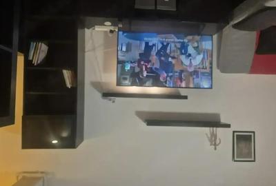 Garsonieră nedecomandată în Chitila - 4