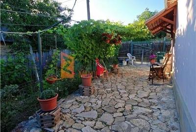 EXCLUSIVITATE! Casa+teren si cabana de lemn zona Naeni - 12