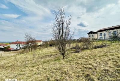Teren de 655 mp, în Făget - 3