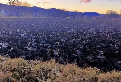 Teren de 4000 mp, în Negrești - 1