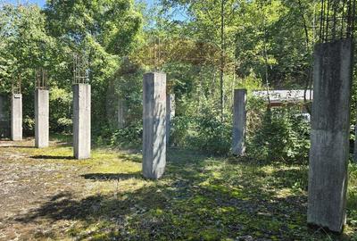 Teren de 4000 mp, în Păscoaia - 22