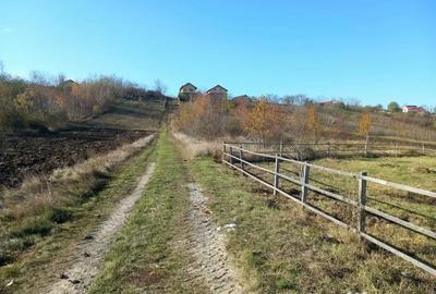 Teren de 735 mp, în Săucești - 4