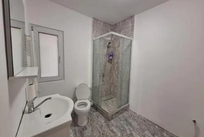 Vila 5 camere/spatiu depozitare + 2 bai de inchiriat Dobroiesti - 1