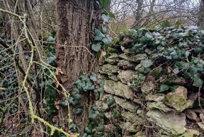 Casa piatra de vacanta locuibila la 42km de Mangalia - 6