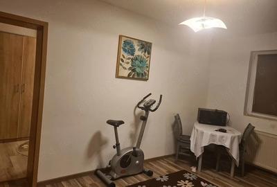 Apartament cu 2 camere semidecomandat în Țiglari - 8
