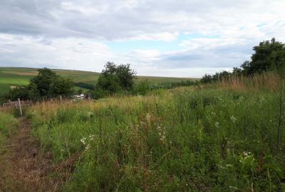 Spațiu comercial, în Rediu - 1