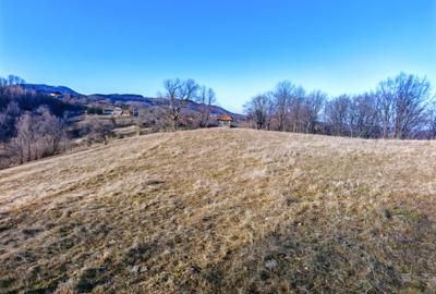 22.206 mp (2,2 Ha) TEREN INTRAVILAN SUPERB CU PEISAJ PANORAMIC, NEGRENI - CLUJ - 4