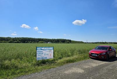 Snagov-Ghermanesti, teren intravilan, 8500mp, la padure - 5