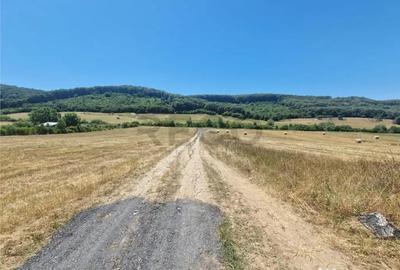 Teren de 626 mp, în Betfia - 3