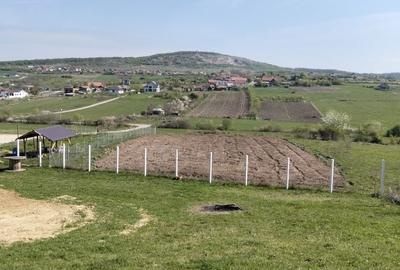 Spațiu comercial, în Central