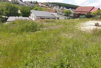 Teren intravilan de 700 mp, în Sâncraiu de Mureș - 1