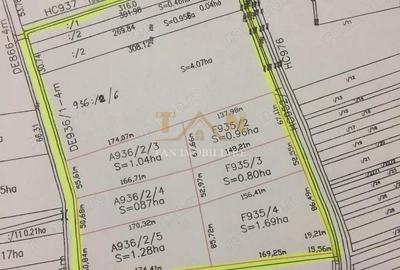 Teren de 127000 mp, în Sânmihaiu Român - 3