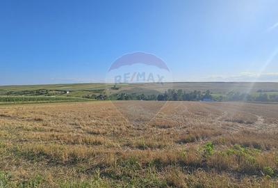 Teren Construcții intravilan de 7500 mp, în Moara Carp - 9