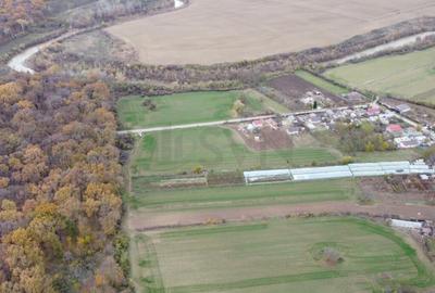 Teren intravilan de Balta Neagra l Nuci l Codrii Vlasiei Teren intravilan de Balta Neagra l Nuci l Codrii Vlasiei - 3