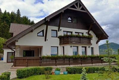 Vanzare domeniu deosebit, vila, anexe si teren cu livada de meri sub padure - 6