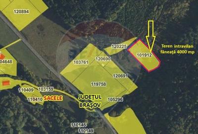 Teren de 4003 mp, în Babarunca - 2