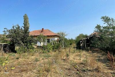 Teren de 2258 mp, în Ciocănești - 6