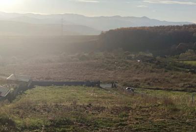 Spațiu comercial, în Ciurila - 4