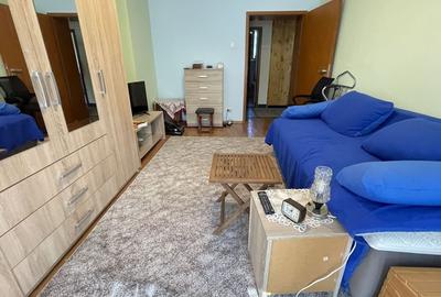 Apartament cu 2 camere decomandat, mobilat în Șagului - 8