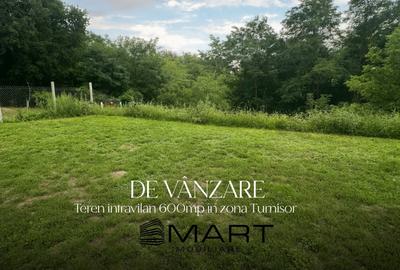 Teren intravilan, 600mp zona Turnisor