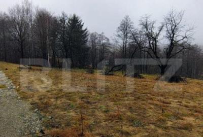 Teren intravilan zona deosebita in Zarnesti Teren intravilan zona deosebita in Zarnesti - 14