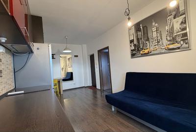 Apartament cu 2 camere decomandat în Valea Lupului - 8