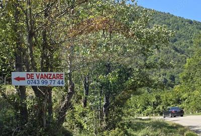 Teren 4,000mp Pascoaia / Soseaua Punctul Chiliilor