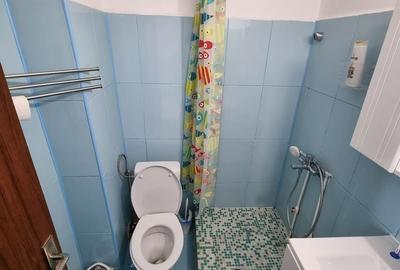 Garsonieră decomandată în Dobroești - 4