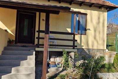 Provita,central, casa renovata integral,vedere de vis - 3