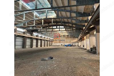 Spațiu comercial, de 5,000 mp, în Zona Liberă - 15