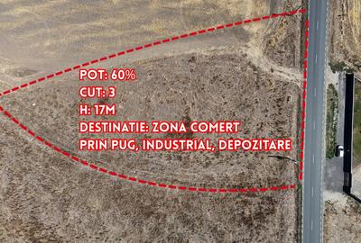 Oportunitate de afacere in Balaceanca - Teren de vanzare
