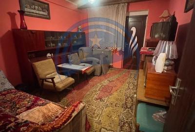 Apartament cu 2 camere decomandat în Valea Rosie - 4