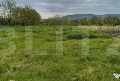 Casă cu 3 camere cu Teren 1325 Mp în Unirea - 2