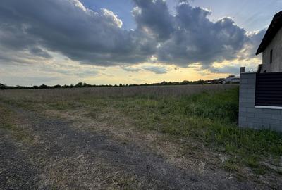 Teren Intravilan Becicherecu Mic ,776 mp,Fs. 17,5m - 1