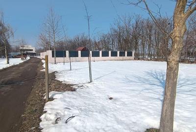 Teren de 800 mp, în Joița - 2