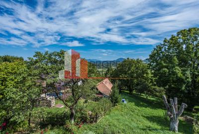 Vilă in Bran cu teren de 28.000 mp și priveliște spectaculoasa - 20