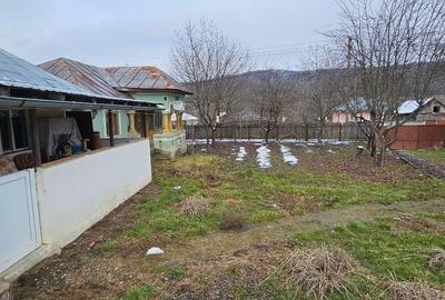 Casă individuală cu 2 camere cu Canalizare în Mitrofani - 13