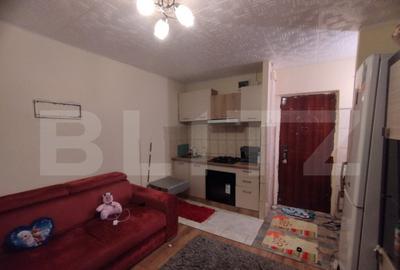 Camera camin, 17 mp, zona Bularga - 3