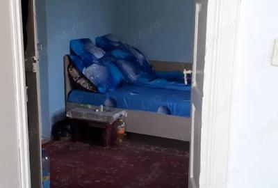 Casa Chetresti Balteni Vaslui - 4