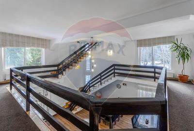 Hotel/Pensiune, de 404 mp, în Vlădeț - Trei Brazi - 17