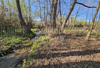 Vanzare teren 4606 mp - Sat Balta - Runcu - la aproximativ 20 km de Targu Jiu - 3