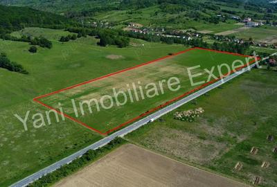 Teren de 69700 mp, în Tigveni - 4