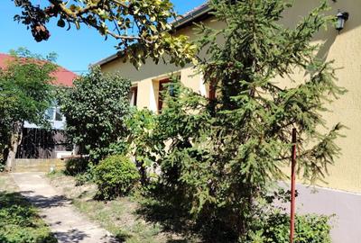 Casă cu 2 camere în Răbăgani - 1