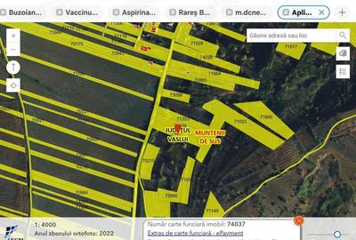 Teren de 2500 mp, în Muntenii de Sus - 1
