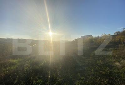 Teren intravilan in zona Sarmas in suprafata de 5332 mp - 5